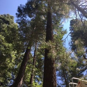 Meet your Posher, Joyce